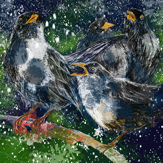Four Calling Birds - Christmas Cards
