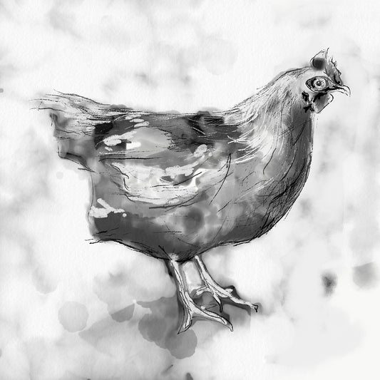 Chicken - Giclée Art Print