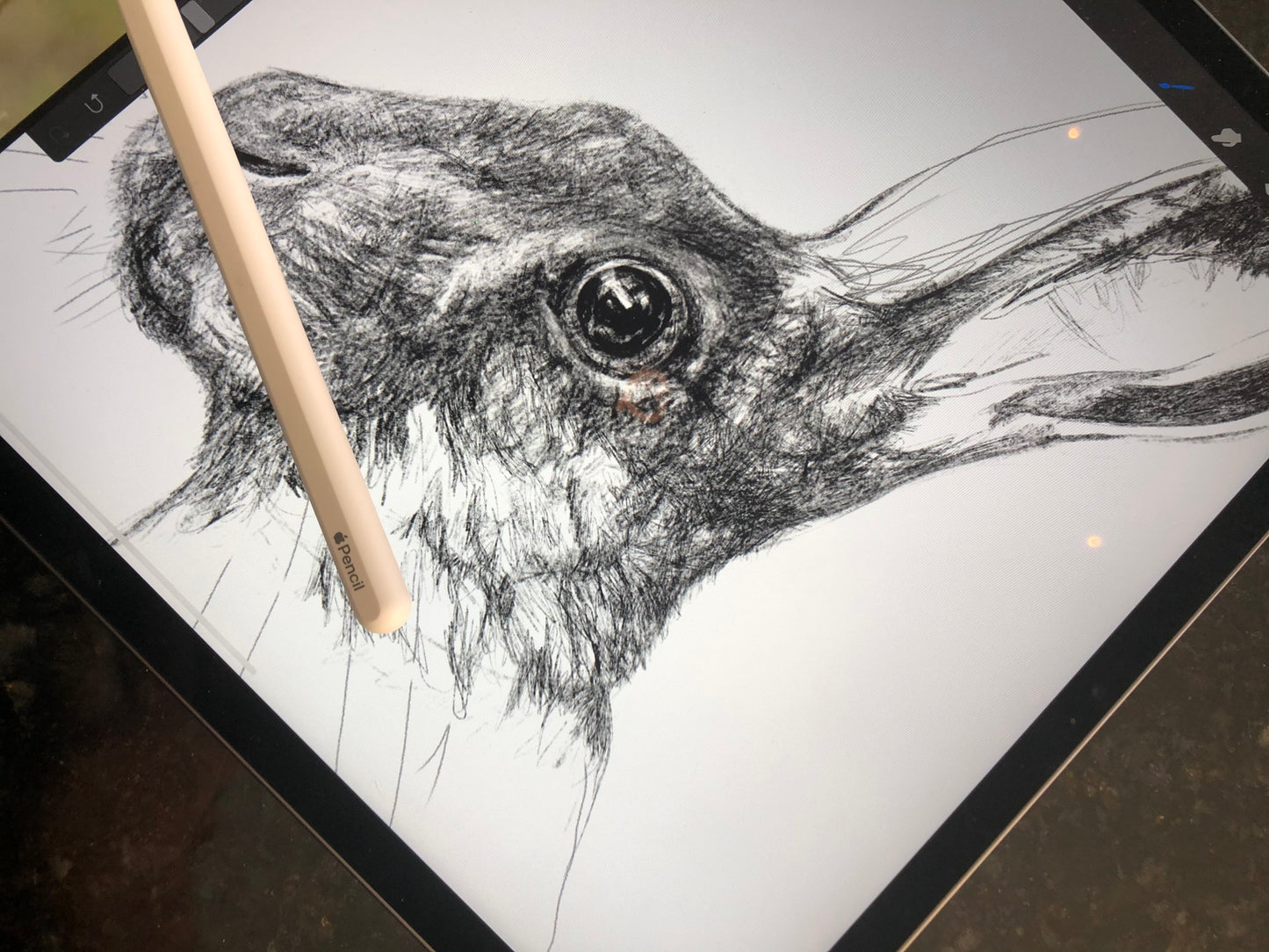 Hare - Greetings Cards