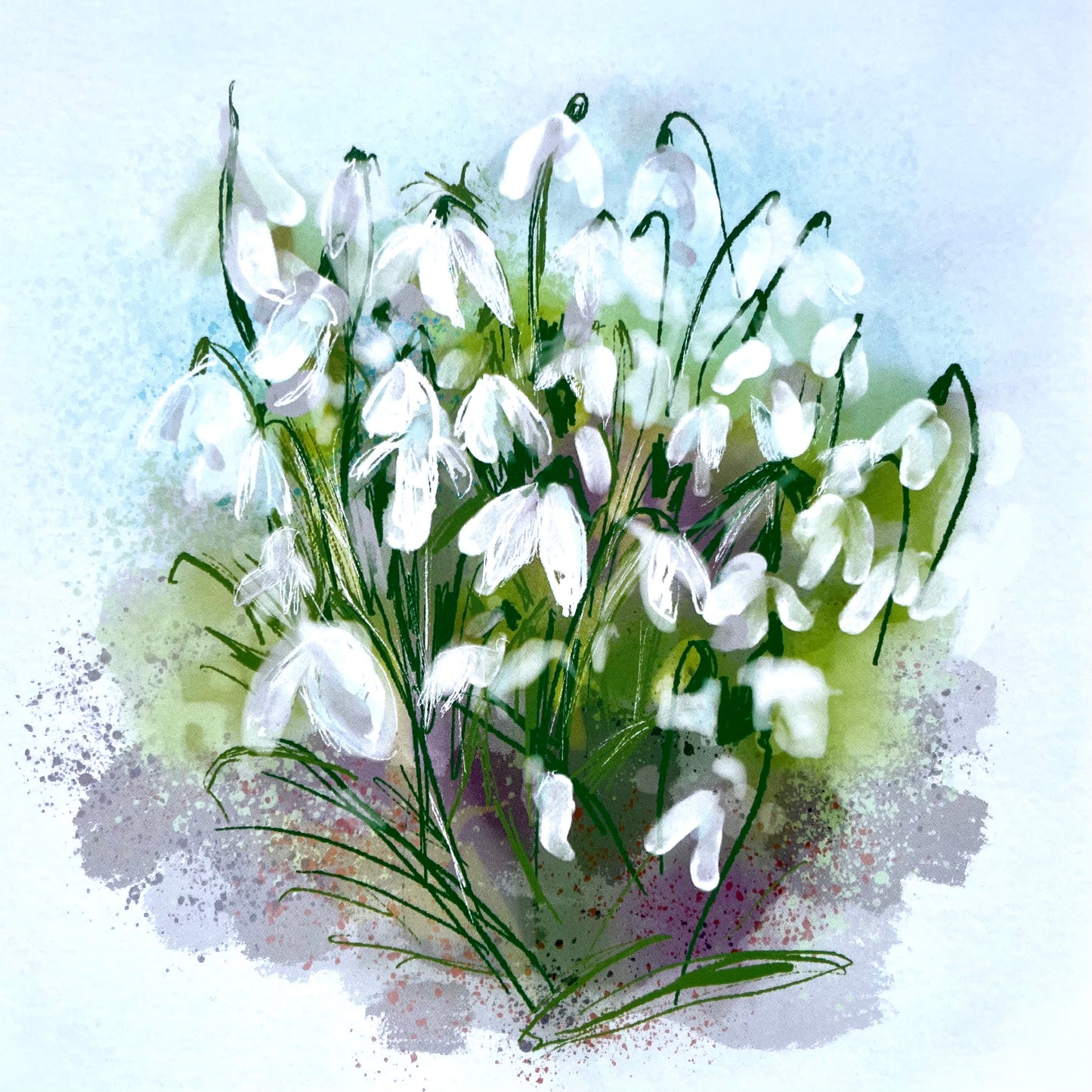 Snowdrops Illustration Greetings Card
