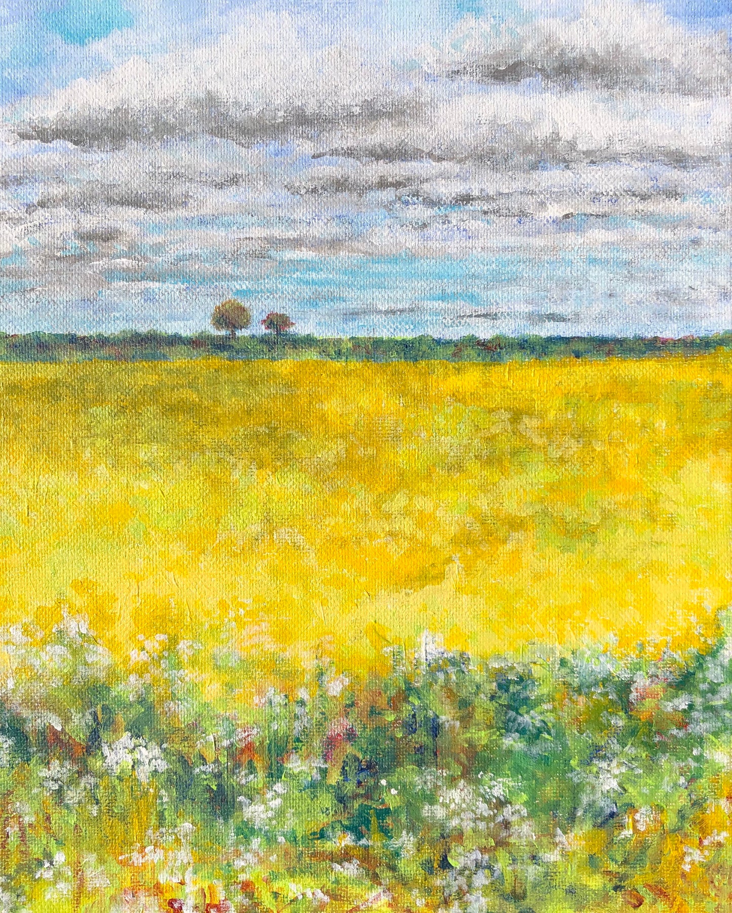 Norfolk Oilseed Rape Field - deep canvas acrylic painting