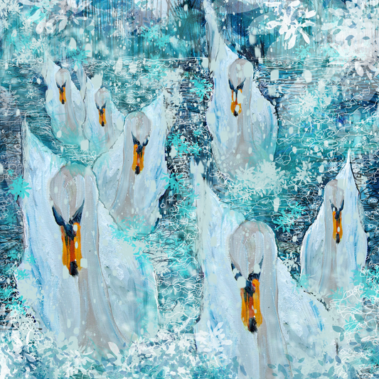 Seven Swans Swimming - Christmas Cards