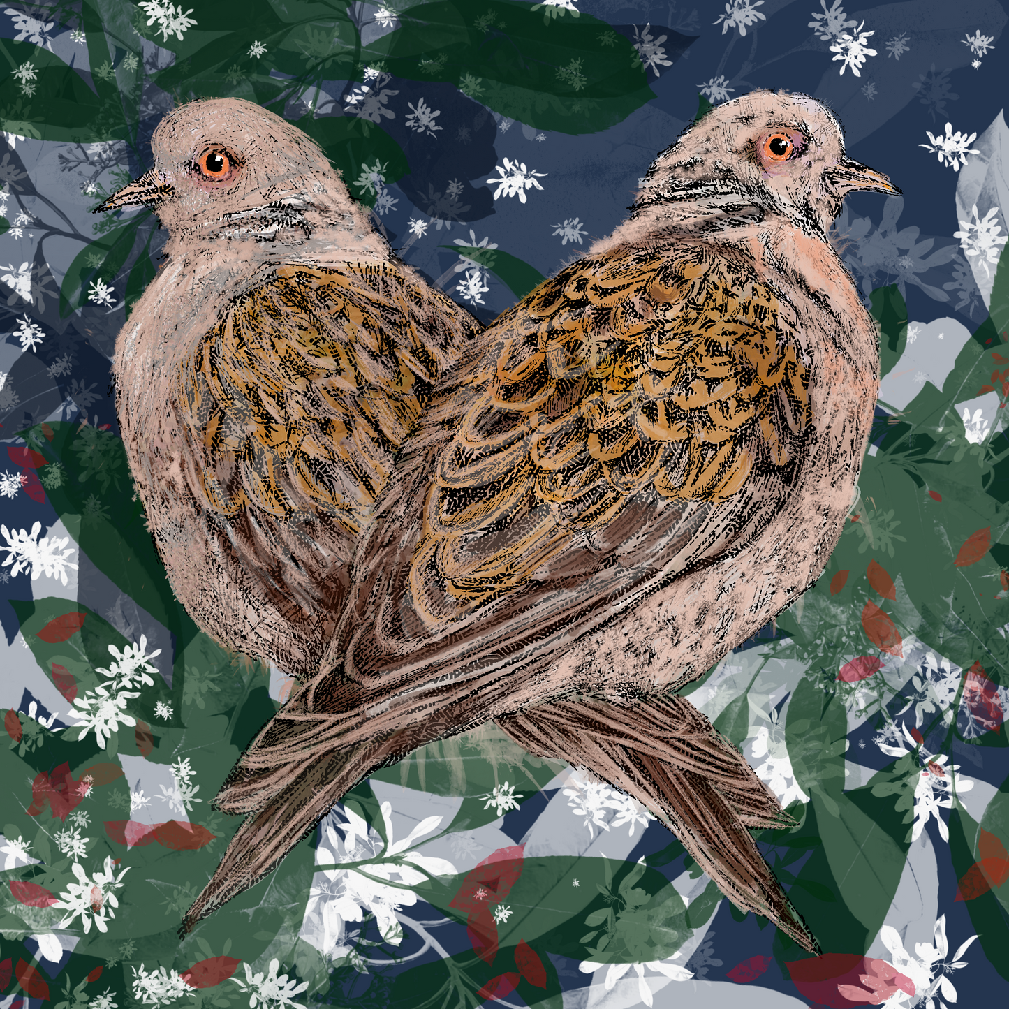 Two Turtle Doves Christmas Card